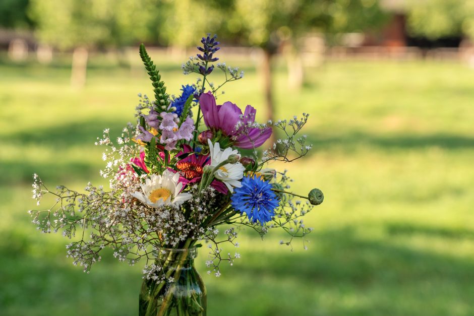 A vibrant floral arrangement in a glass vase featuring a variety of fresh flowers including purple and pink tulips, white daisies, blue cornflowers, and delicate baby's breath, set against a blurred o