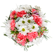 In this lush Keston bouquet, there's a joyful interplay between springtime freshness and artistic detail. Gleaming white daisies, centered with vibrant lime-green eyes, punctuate the arrangement with bursts of purity and hope. Around them flourish full, coral-pink carnations, their plush, velvety petals imparting texture and warmth throughout the bouquet. Frothy clusters of baby's breath drift between the blooms like soft morning mist rolling over the open greens of Keston village. Here and there, blushing buds-perhaps alstroemeria-peek out, dusted with hints of purple and pink, suggesting new joys ahead. The greenery, a mix of silvery eucalyptus and deep glossy leaves, cradles the flowers with a cool, calming touch, reminiscent of shaded paths by Keston ponds. The bouquet's harmonious, rounded structure feels perfectly balanced, and its uplifting palette is just right for celebrating life's special moments in Keston-be that a birthday, an anniversary, or simply welcoming a loved one home. Each element glows against a pristine white background, highlighting the freshness and vibrance of the design. The bouquet's gentle fragrance and visual harmony carry a quiet message of care, crafted by a local florist who cherishes both the blooms and the community they serve.